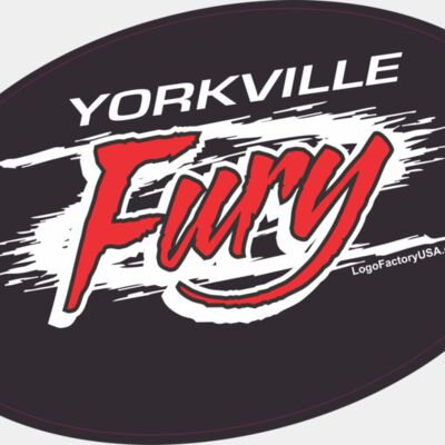 fury decal Thumbnail